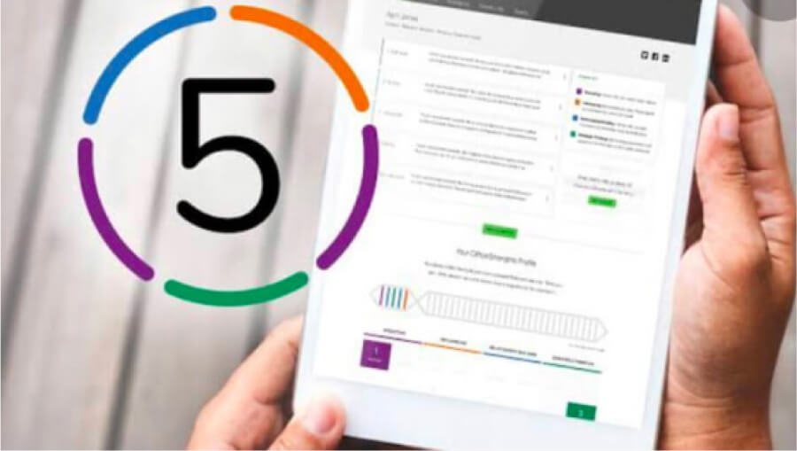 Ewa Fryc Test Gallupa